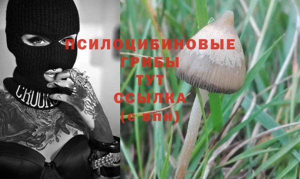 спайс Богданович